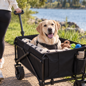 Labrador in Foldable Pet Adventure Utility Wagon